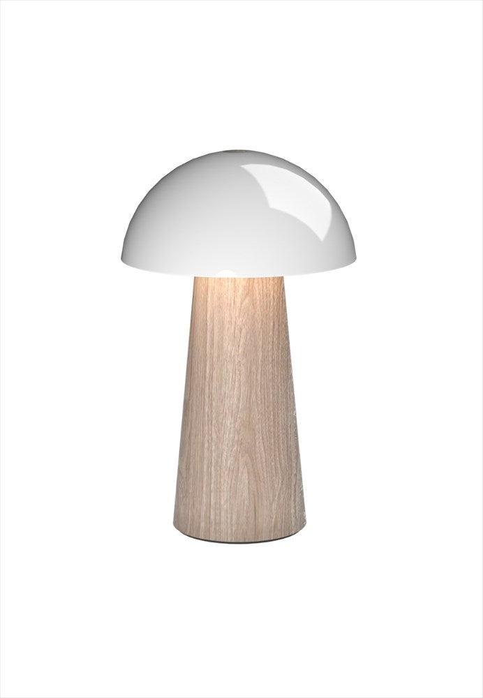 Portabel LED-lampa med timer och tre ljusnivåer. Mått: L12 cm / B12 cm / H19,6 cm. Batteritid: upp till 50 timmar. Timer: 2, 4 och 6 timmar. Material: 100% återvunnen ABS-plast (GRS), metall, silikon. Färg: Light Wood